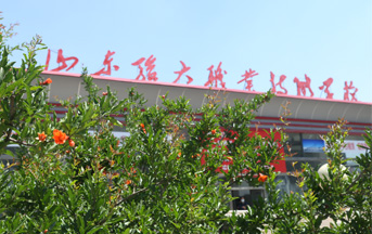 骏大风采